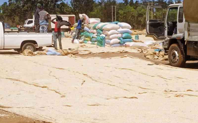 Kenya: Cabinet approves Sh4 billion to combat drought conditions