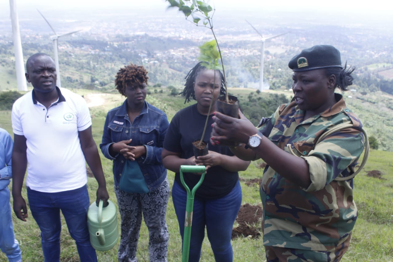 An Initiative to plant trees developed by teachers and students