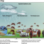 First human case of Rift Valley Fever confirmed