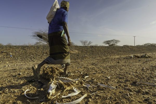 Climate Injustice Why Africa Pays the Highest Price
