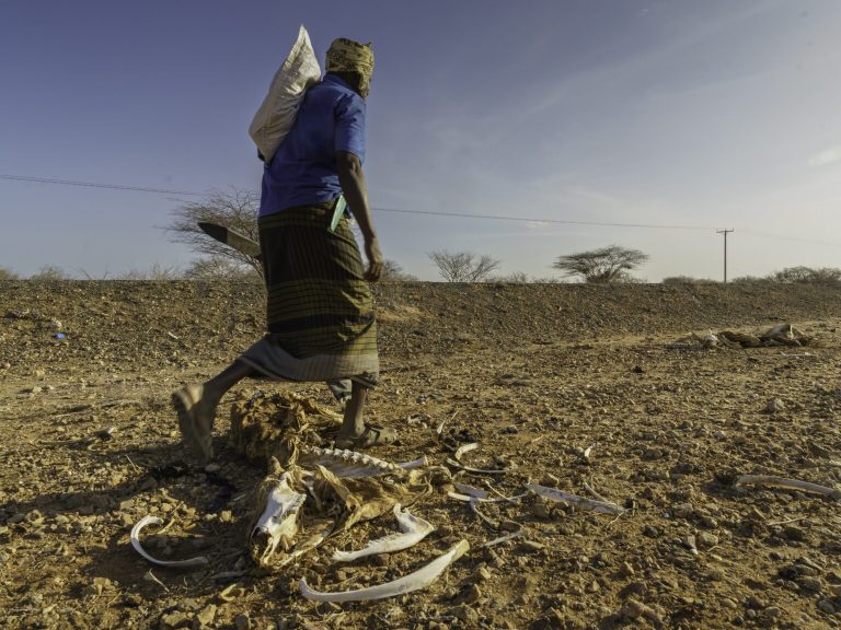 Climate Injustice Why Africa Pays the Highest Price