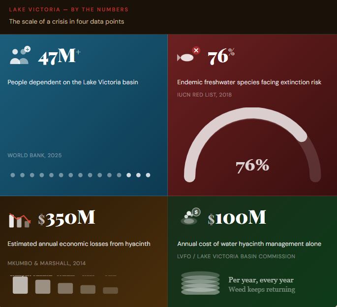 Lake Victoria is dying and Kenya's silence is deafening