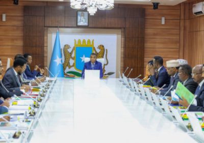 Somalia appoints new custodial corps chief in cabinet shake-up