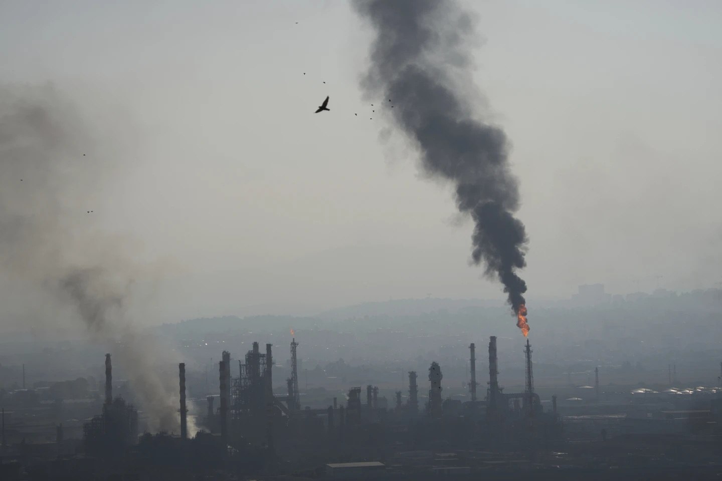 Tehran bombardments by US-Israel kill over 1,200, Iran Says