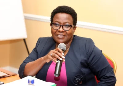 Anne Makori defends credentials for Supreme court role