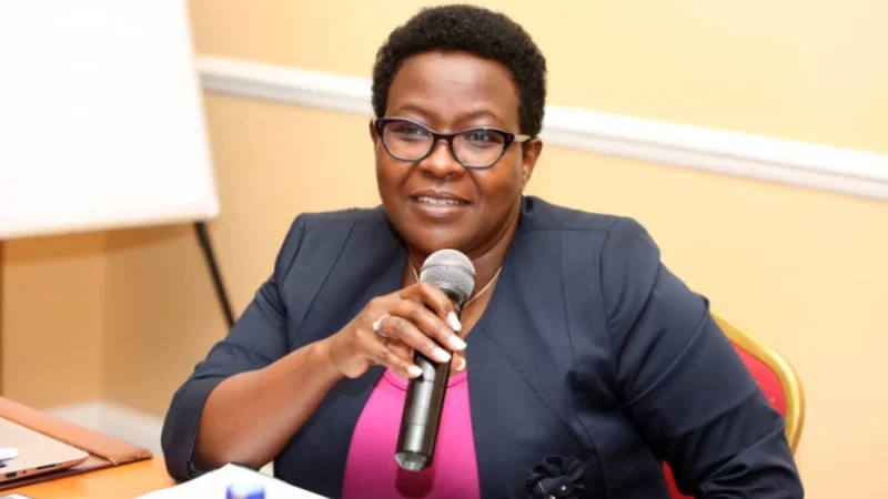 Anne Makori defends credentials for Supreme court role