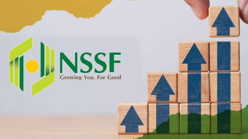 Government unveils new digital pension system