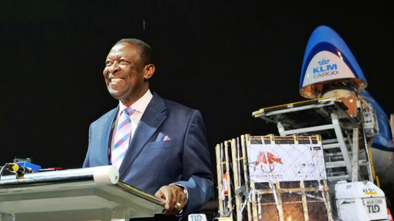 Mudavadi Hails Bongo Repatriation as Kenya’s Conservation Milestone