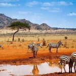 Kenya