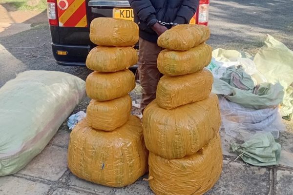 Passenger nabbed with bhang worth Ksh3M